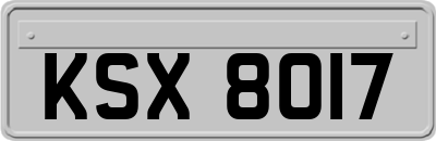 KSX8017