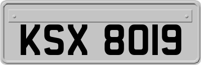 KSX8019