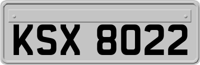 KSX8022