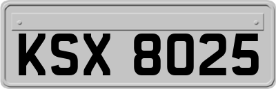 KSX8025