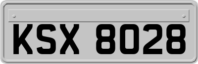 KSX8028