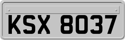 KSX8037