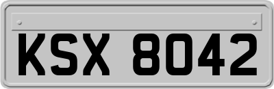 KSX8042