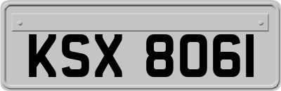 KSX8061