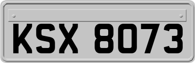 KSX8073
