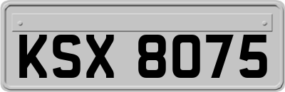 KSX8075
