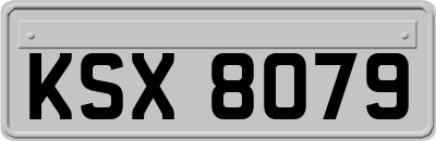 KSX8079