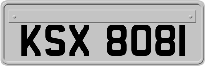 KSX8081