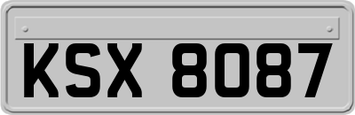 KSX8087