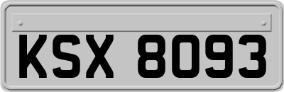 KSX8093