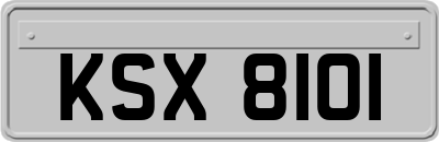 KSX8101