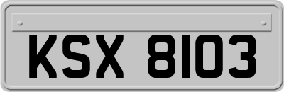 KSX8103