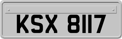 KSX8117