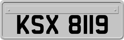 KSX8119