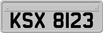 KSX8123