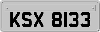 KSX8133