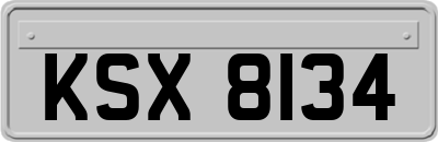 KSX8134