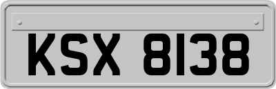 KSX8138