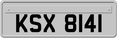 KSX8141