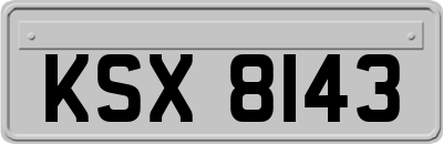 KSX8143