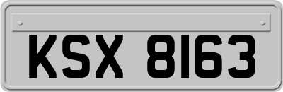 KSX8163