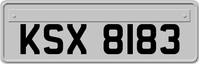 KSX8183