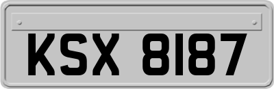 KSX8187