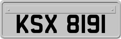 KSX8191