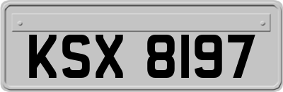 KSX8197