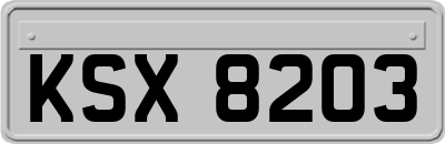 KSX8203