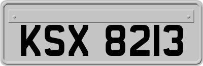 KSX8213
