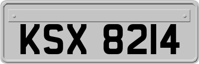 KSX8214