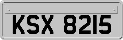 KSX8215