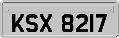 KSX8217