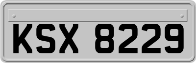 KSX8229
