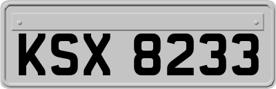 KSX8233