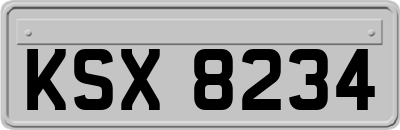 KSX8234