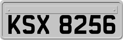 KSX8256