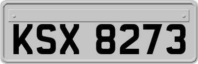 KSX8273