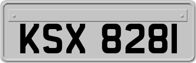 KSX8281