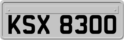 KSX8300