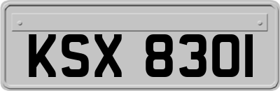 KSX8301