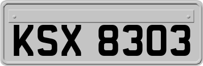KSX8303