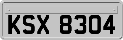 KSX8304
