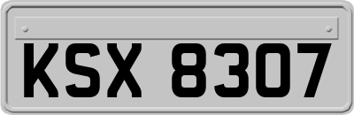 KSX8307