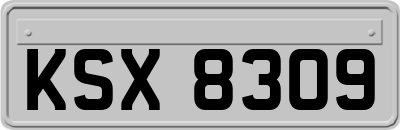 KSX8309