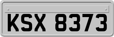 KSX8373