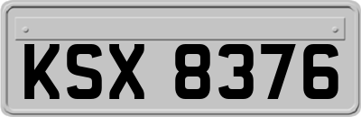 KSX8376