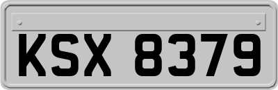 KSX8379