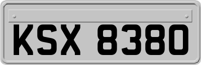 KSX8380
